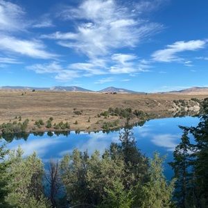 Meet your Posher, Janie